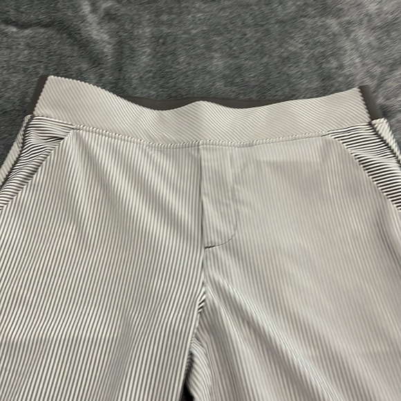 Athleta Brooklyn Pants in City Stripe size 10p - Picture 6 of 10